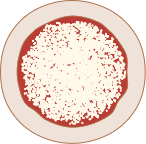 Foodfaktur Base+